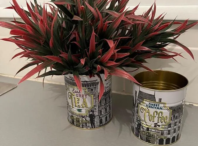 Artemis 1 Bdr Down Town Lägenhet *