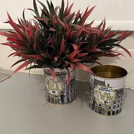 Artemis 1 Bdr Down Town דירה *