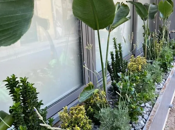 Artemis 1 Bdr Down Town *